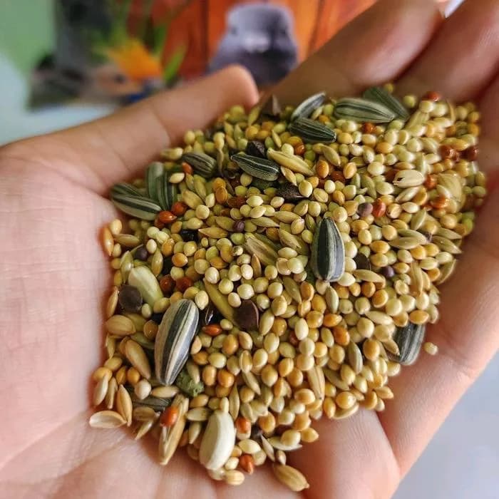 Pakan Burung PARROT MIX 1KG JJ Premium Seed lovebird haverdseed millet