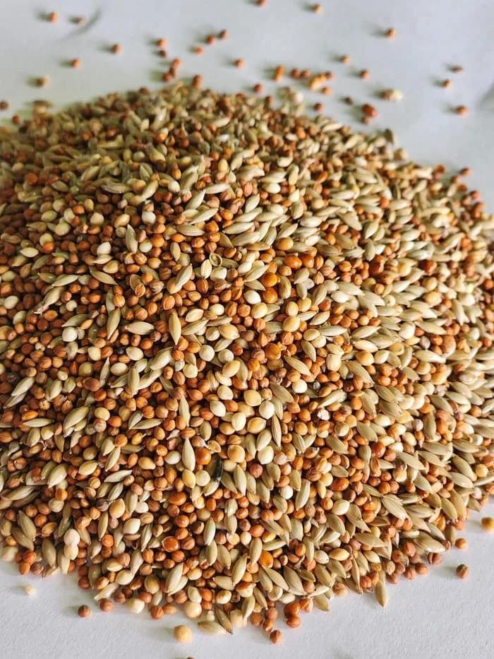 Pakan burung FINCH MIX 5kg JJ Premium seed emprit pipit