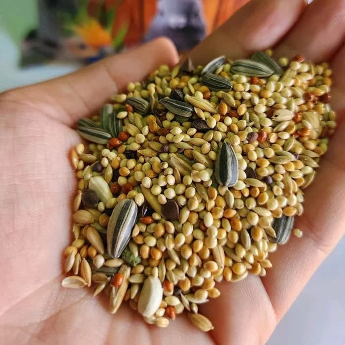 Pakan burung PARROT PHARMACY MIX 1kg JJ Premium seed vitamin lovebird
